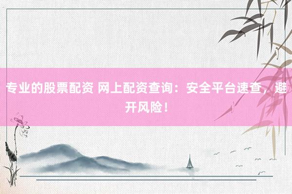 专业的股票配资 网上配资查询：安全平台速查，避开风险！