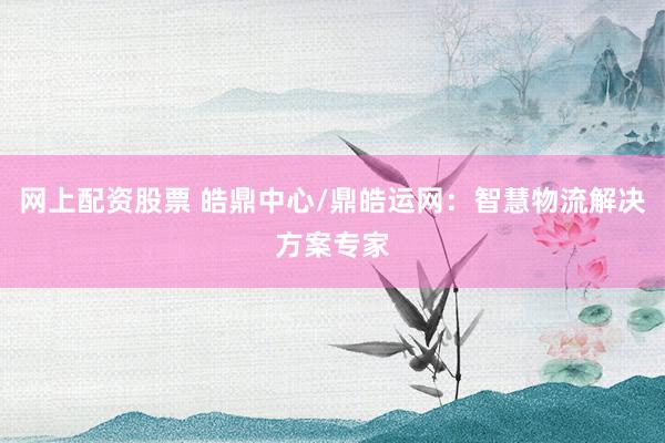 网上配资股票 皓鼎中心/鼎皓运网：智慧物流解决方案专家