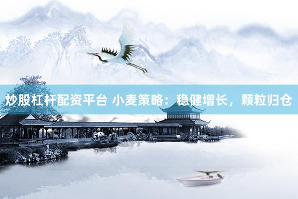 炒股杠杆配资平台 小麦策略：稳健增长，颗粒归仓