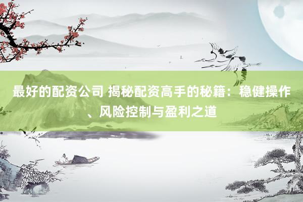 最好的配资公司 揭秘配资高手的秘籍：稳健操作、风险控制与盈利之道