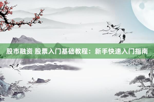 股市融资 股票入门基础教程：新手快速入门指南