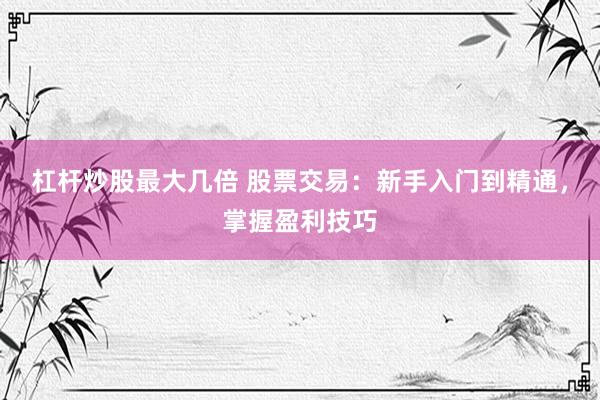 杠杆炒股最大几倍 股票交易：新手入门到精通，掌握盈利技巧