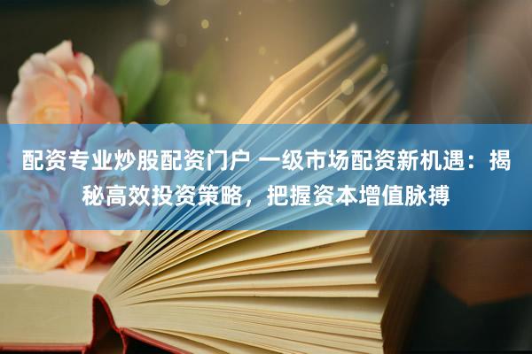 配资专业炒股配资门户 一级市场配资新机遇：揭秘高效投资策略，把握资本增值脉搏