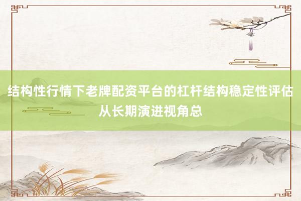 结构性行情下老牌配资平台的杠杆结构稳定性评估从长期演进视角总