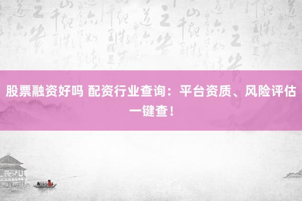 股票融资好吗 配资行业查询:平台资质、风险评估一键查!